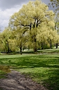 _mg_5262.jpg