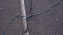 p1020113.jpg